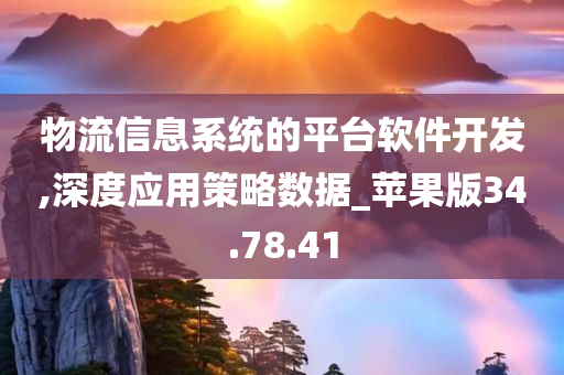 物流信息系统的平台软件开发,深度应用策略数据_苹果版34.78.41