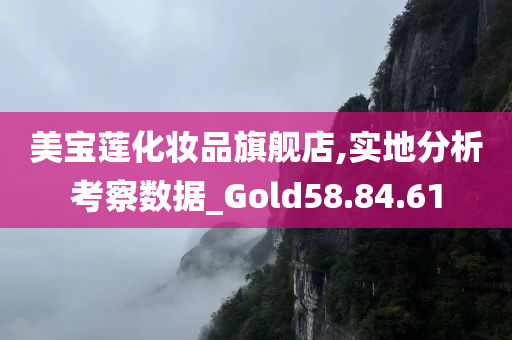 美宝莲化妆品旗舰店,实地分析考察数据_Gold58.84.61