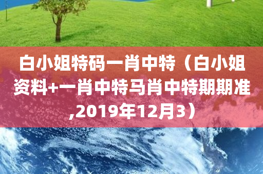 白小姐特码一肖中特（白小姐资料+一肖中特马肖中特期期准,2019年12月3）