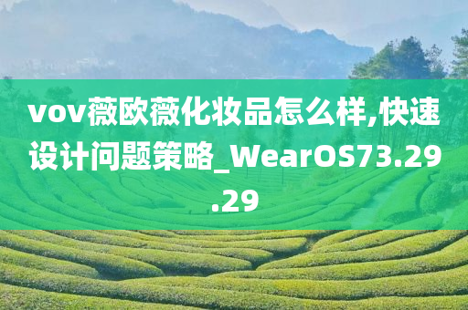 vov薇欧薇化妆品怎么样,快速设计问题策略_WearOS73.29.29