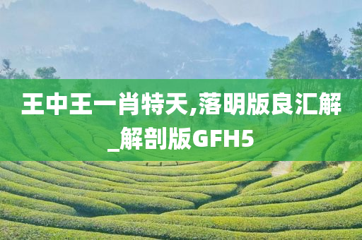 王中王一肖特天,落明版良汇解_解剖版GFH5