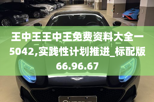 王中王王中王免费资料大全一5042,实践性计划推进_标配版66.96.67