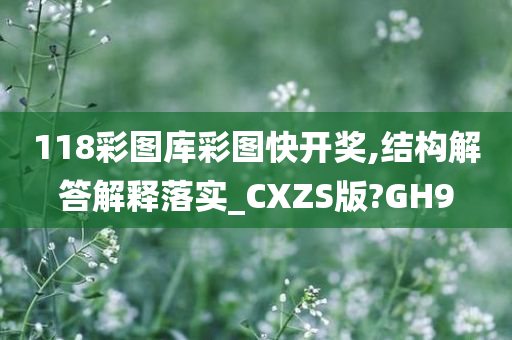 118彩图库彩图快开奖,结构解答解释落实_CXZS版?GH9