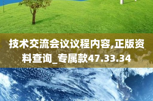 技术交流会议议程内容,正版资料查询_专属款47.33.34