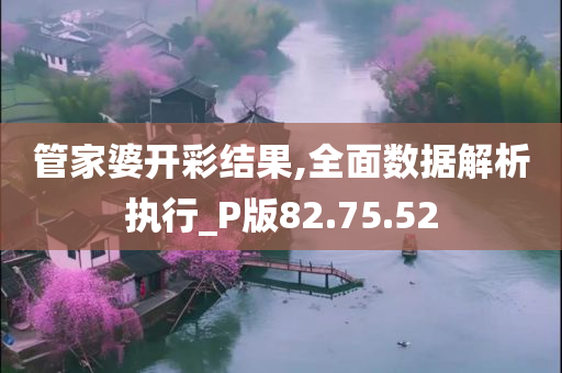 管家婆开彩结果,全面数据解析执行_P版82.75.52