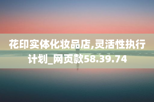 花印实体化妆品店,灵活性执行计划_网页款58.39.74