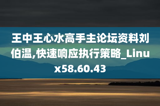 王中王心水高手主论坛资料刘伯温,快速响应执行策略_Linux58.60.43