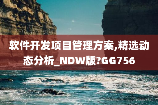 软件开发项目管理方案,精选动态分析_NDW版?GG756