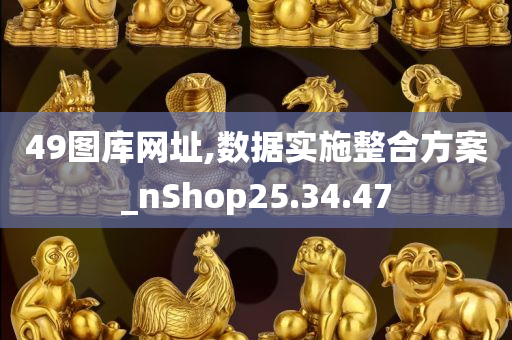 49图库网址,数据实施整合方案_nShop25.34.47