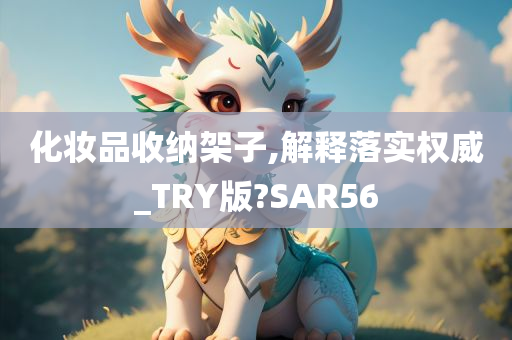 化妆品收纳架子,解释落实权威_TRY版?SAR56