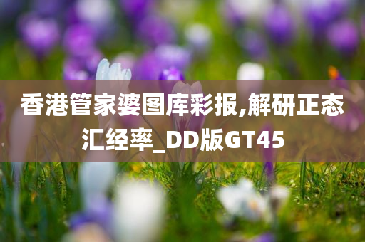 香港管家婆图库彩报,解研正态汇经率_DD版GT45