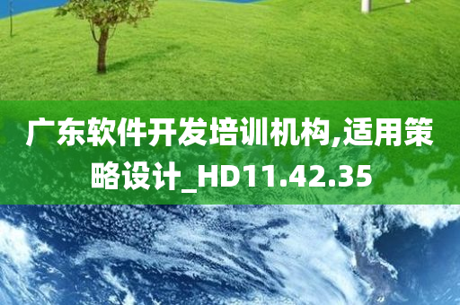 广东软件开发培训机构,适用策略设计_HD11.42.35