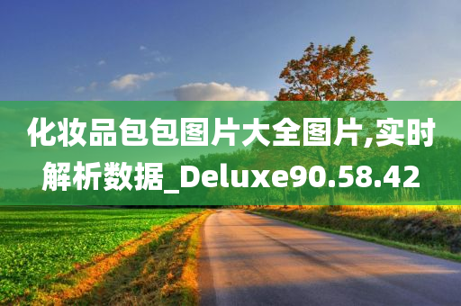 化妆品包包图片大全图片,实时解析数据_Deluxe90.58.42