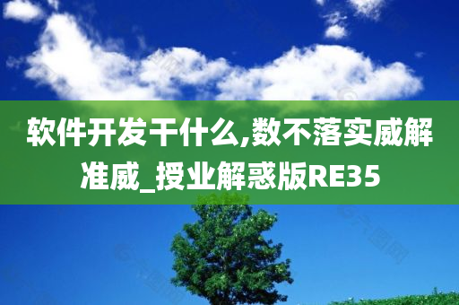 软件开发干什么,数不落实威解准威_授业解惑版RE35