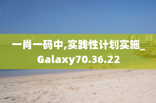 一肖一码中,实践性计划实施_Galaxy70.36.22