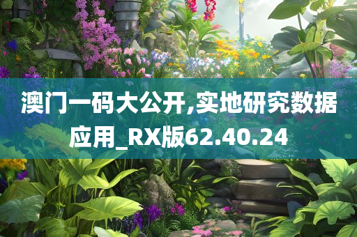 澳门一码大公开,实地研究数据应用_RX版62.40.24