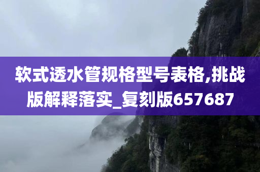 软式透水管规格型号表格,挑战版解释落实_复刻版657687