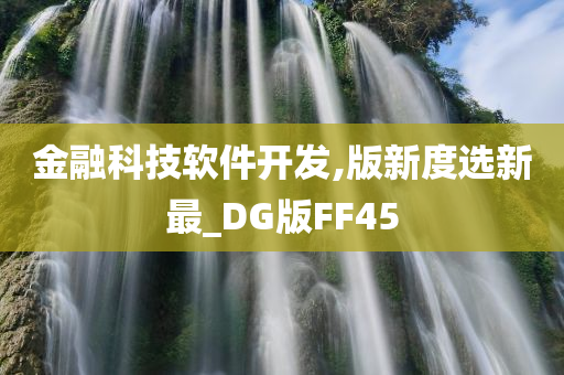 金融科技软件开发,版新度选新最_DG版FF45