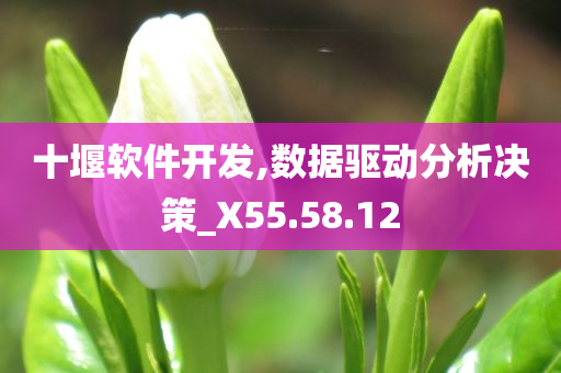 十堰软件开发,数据驱动分析决策_X55.58.12