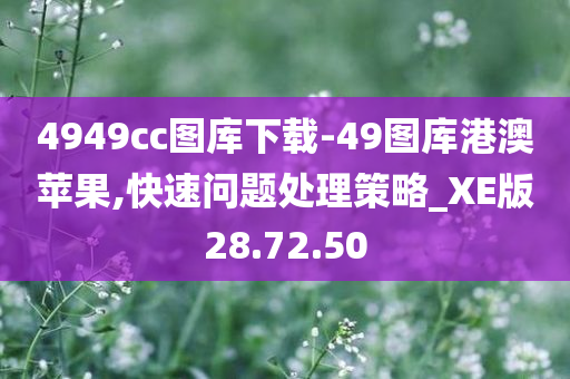 4949cc图库下载-49图库港澳苹果,快速问题处理策略_XE版28.72.50