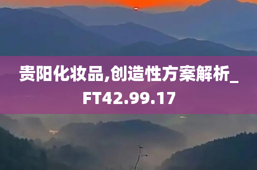 贵阳化妆品,创造性方案解析_FT42.99.17