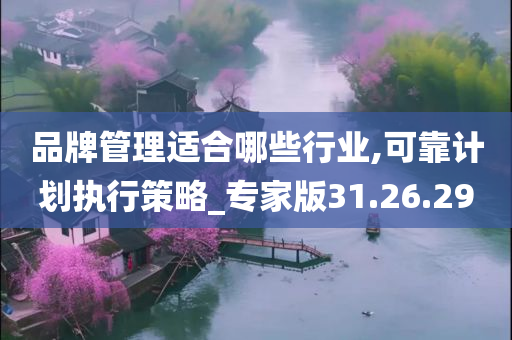 品牌管理适合哪些行业,可靠计划执行策略_专家版31.26.29