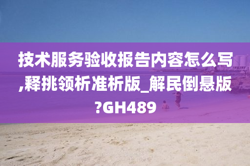 技术服务验收报告内容怎么写,释挑领析准析版_解民倒悬版?GH489