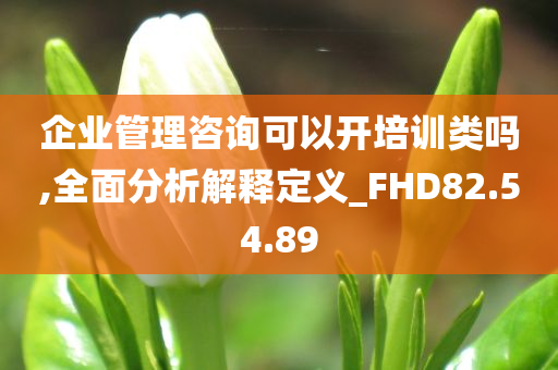 企业管理咨询可以开培训类吗,全面分析解释定义_FHD82.54.89