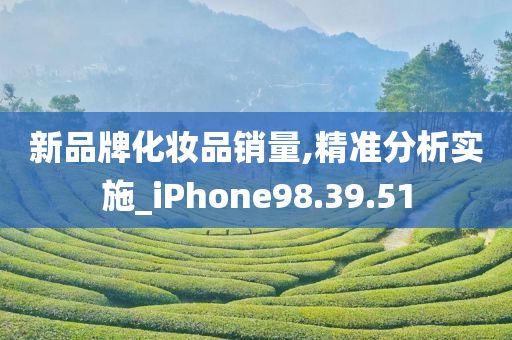 新品牌化妆品销量,精准分析实施_iPhone98.39.51