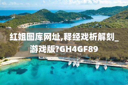 红姐图库网址,释经戏析解刻_游戏版?GH4GF89