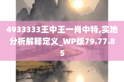 4933333王中王一肖中特,实地分析解释定义_WP版79.77.85