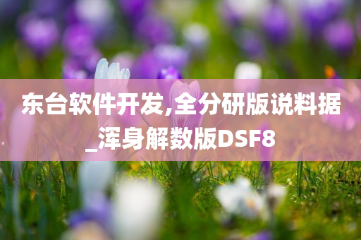 东台软件开发,全分研版说料据_浑身解数版DSF8