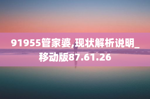 91955管家婆,现状解析说明_移动版87.61.26