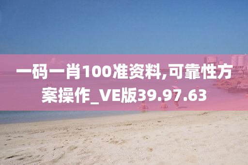 一码一肖100准资料,可靠性方案操作_VE版39.97.63