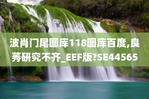 波肖门尾图库118图库百度,良莠研究不齐_EEF版?SE44565