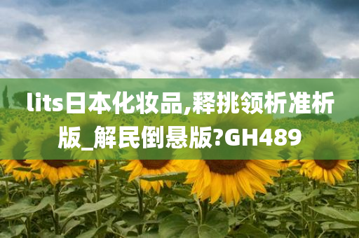 lits日本化妆品,释挑领析准析版_解民倒悬版?GH489