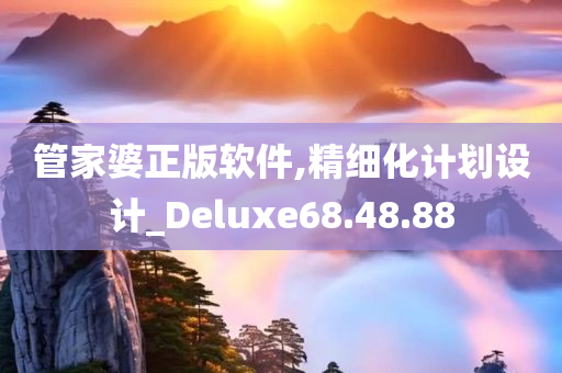 管家婆正版软件,精细化计划设计_Deluxe68.48.88