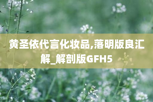 黄圣依代言化妆品,落明版良汇解_解剖版GFH5