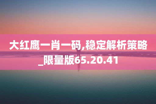 大红鹰一肖一码,稳定解析策略_限量版65.20.41