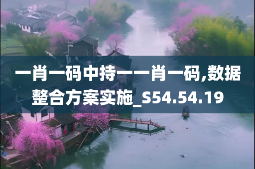 一肖一码中持一一肖一码,数据整合方案实施_S54.54.19