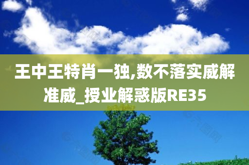 王中王特肖一独,数不落实威解准威_授业解惑版RE35