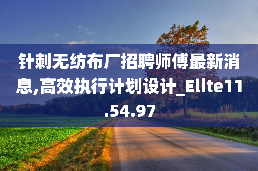 针刺无纺布厂招聘师傅最新消息,高效执行计划设计_Elite11.54.97