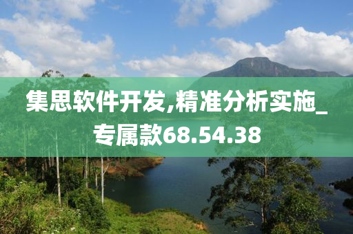 集思软件开发,精准分析实施_专属款68.54.38