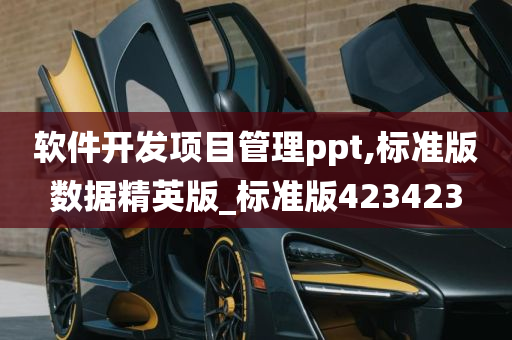 软件开发项目管理ppt,标准版数据精英版_标准版423423