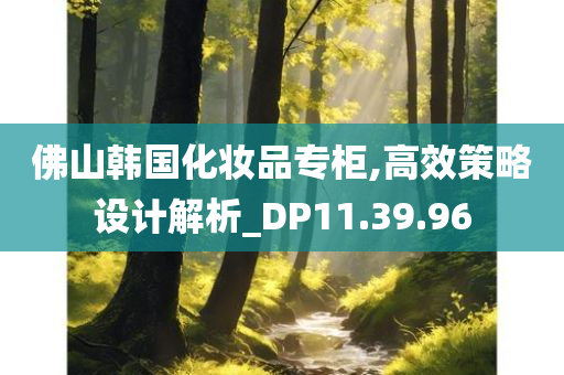 佛山韩国化妆品专柜,高效策略设计解析_DP11.39.96