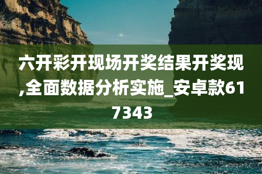 六开彩开现场开奖结果开奖现,全面数据分析实施_安卓款617343