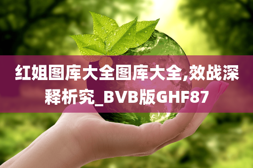 红姐图库大全图库大全,效战深释析究_BVB版GHF87