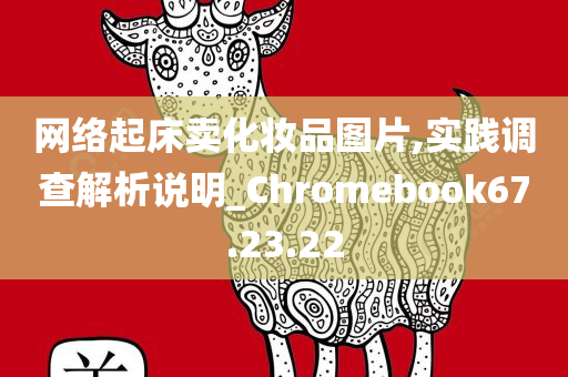 网络起床卖化妆品图片,实践调查解析说明_Chromebook67.23.22