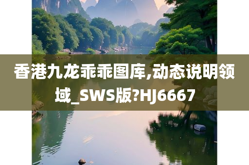 香港九龙乖乖图库,动态说明领域_SWS版?HJ6667