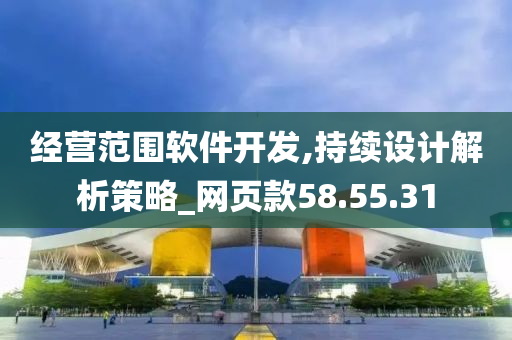 经营范围软件开发,持续设计解析策略_网页款58.55.31